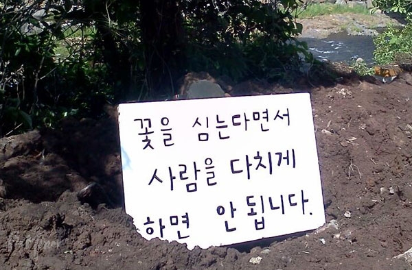 13681794614981.jpg